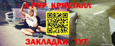 сатива Кунгур