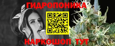 прущие грибы Кулебаки