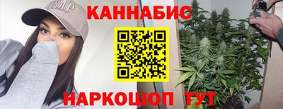 сатива Кунгур