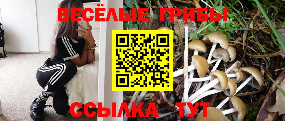 Галлюциногенные грибы Magic Shrooms  Вход с VPN  Камышлов 